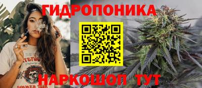 дмт Моздок