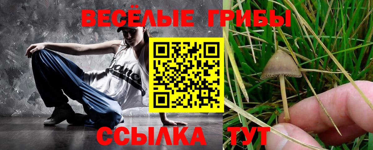 ГАШ Урус-Мартан