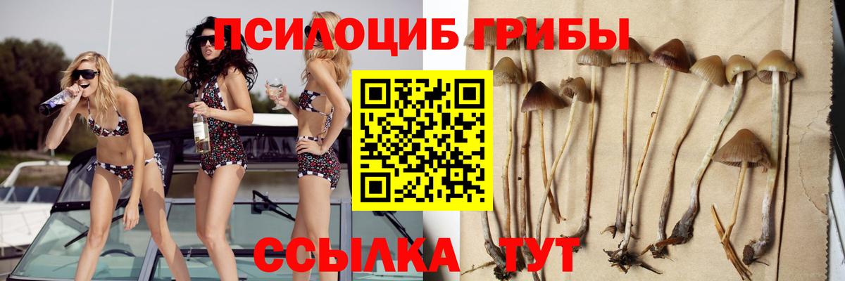 Псилоцибиновые грибы MAGIC MUSHROOMS Урус-Мартан